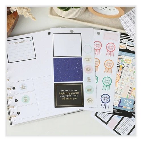 The Happy Planner Essentials Home Classic Stickers, Productivity Theme, 734 Stickers (THLSVP130149) (6)