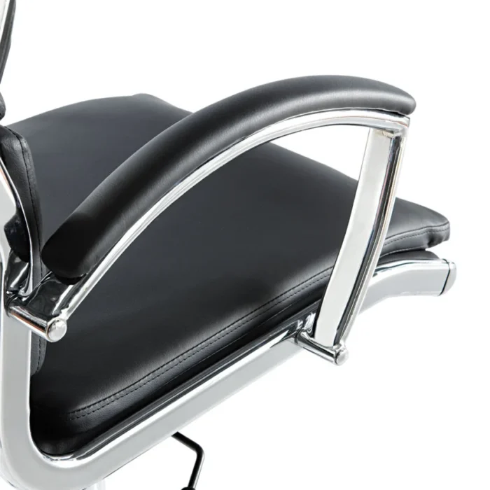 The Alera Neratoli High-Back Slim Profile Chair (ALENR4119) offers stylish and comfortable seating. It features a slim design with cushioned support and padded arm caps. The waterfall seat helps reduce pressure on the legs for better circulation. The sturdy five-star base with casters allows easy movement. Made of stain-resistant faux leather in black with a chrome frame, it supports up to 275 lbs. Adjustable seat height from 17.32" to 21.25".