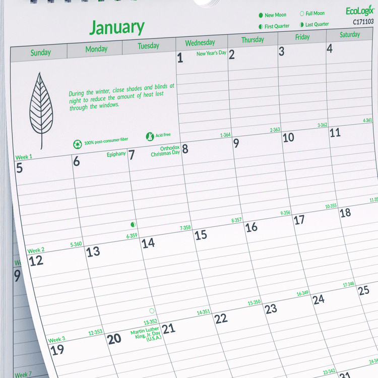 Brownline EcoLogix Monthly Wall Calendar, EcoLogix Artwork, 12 x 17, White/Green Sheets, 12-Month (Jan to Dec): 2025 (REDC171103)