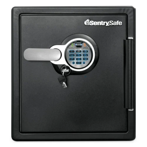 Sentry Safe Fire-Safe with Biometric and Keypad Access, 1.23 cu ft, 16.3w x 19.3d x 17.8h, Black (SENSFW123BSC)