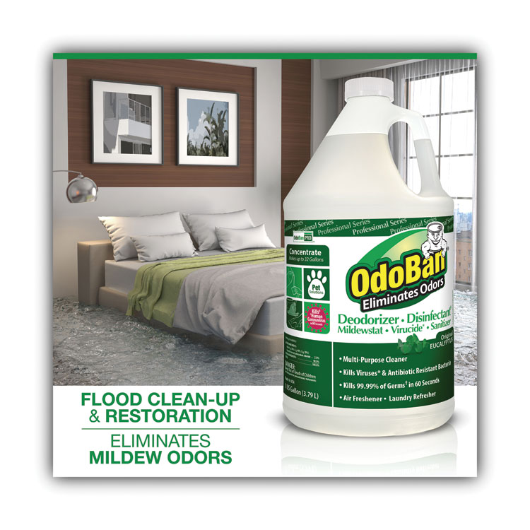 OdoBan Concentrated Odor Eliminator, Eucalyptus, 1 gal Bottle, 4/Carton (ODO911062G4)