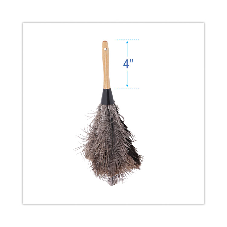 Boardwalk Professional Ostrich Feather Duster, 4" Handle (BWK12GY)