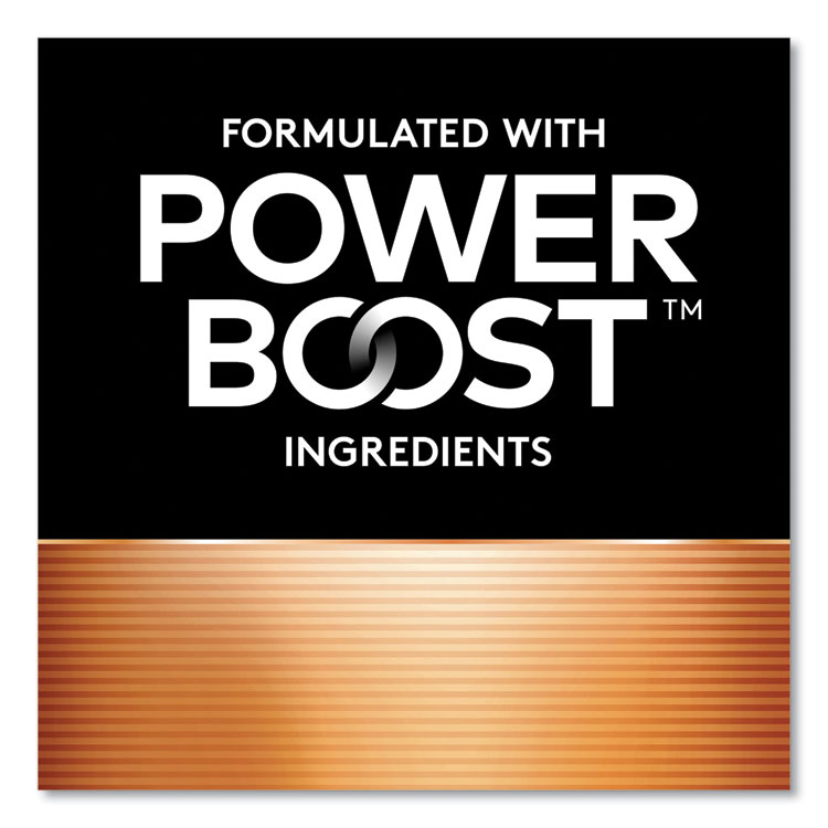 Duracell Power Boost CopperTop Alkaline AA Batteries, 10/Pack (DURMN1500B10Z)