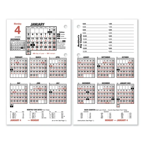 AT-A-GLANCE Burkhart's Day Counter Desk Calendar Refill, 4.5 x 7.38, White Sheets, 12-Month (Jan to Dec) 2025 (AAGE71250)