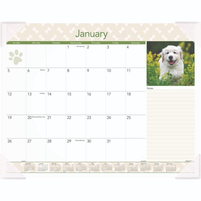 AT-A-GLANCE Puppies Monthly Desk Pad Calendar, Puppies Photography, 22 x 17, White Sheets, Clear Corners, 12-Month (Jan to Dec) 2025 (AAGDMD16632)