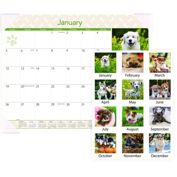 AT-A-GLANCE Puppies Monthly Desk Pad Calendar, Puppies Photography, 22 x 17, White Sheets, Clear Corners, 12-Month (Jan to Dec) 2025 (AAGDMD16632)