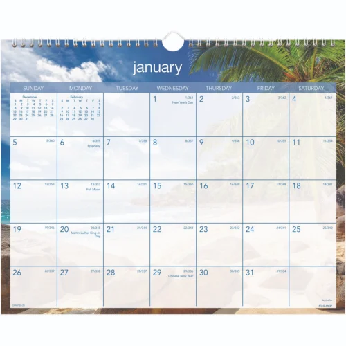 AT-A-GLANCE Tropical Escape Wall Calendar, Tropical Escape Photography, 15 x 12, Pale BlueMulticolor Sheets, 12-Month (Jan to Dec) 2025 (AAGDMWTE828)