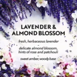 Air Wick Essential Mist Refill, Lavender and Almond Blossom, 0.67 oz Bottle (RAC98552EA) (6)