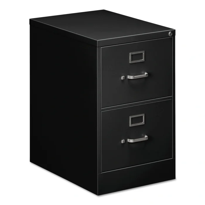 Alera Two-Drawer Economy Vertical File, 2 Legal-Size File Drawers, Black, 18″ x 25″ x 28.38″ (ALEHVF1929BL)