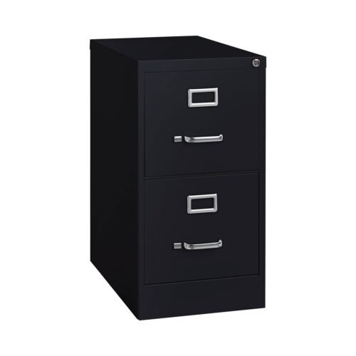 Alera Two-Drawer Economy Vertical File, Letter-Size File Drawers, Black, 15 x 22 x 28.37 (ALEHVF152229BL)