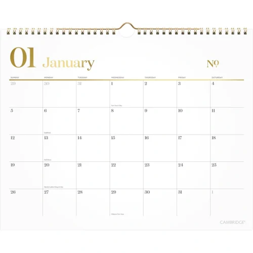 Cambridge WorkStyle Monthly Wall Calendar, 15 x 12, WhiteGold Sheets, 12-Month (Jan to Dec) 2025 (AAG1606707)