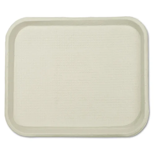 Chinet Savaday Molded Fiber Food Trays, 1-Compartment, 9 x 12 x 1, White, Paper, 250Carton (HUH20802)