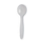 Dixie Plastic Cutlery, Heavyweight Soup Spoons, White, 1,000Carton (DXESH217)
