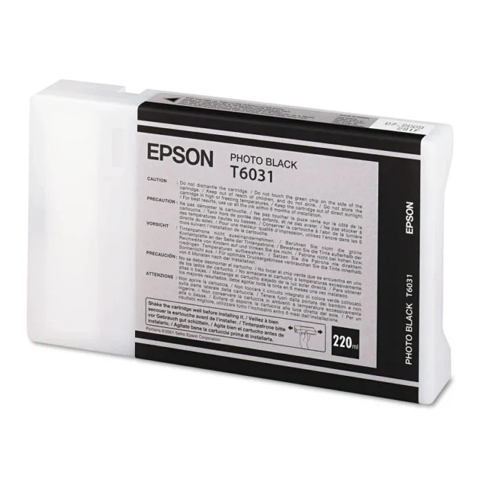 Epson T603100 (60) UltraChrome K3 Ink, Photo Black (EPST603100)