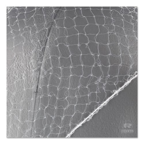 Royal Lightweight Latex-Free Hairnets, Nylon, 24, White, 144Box (RPPRPH144LTWPK)