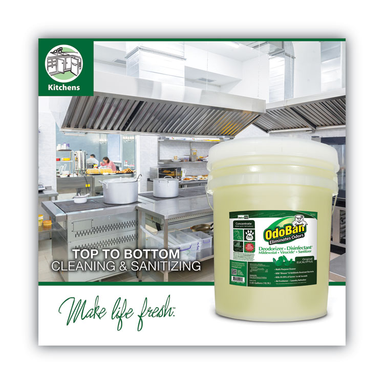 OdoBan Concentrated Odor Eliminator and Disinfectant, Eucalyptus, 5 gal Pail (ODO9110625G)