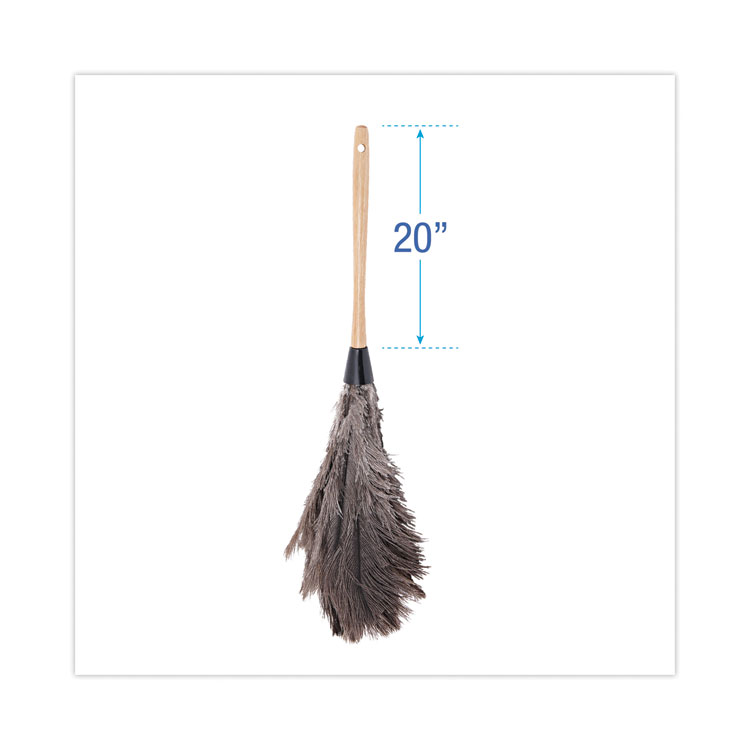 Boardwalk Professional Ostrich Feather Duster, Wood Handle, 20" (BWK20GY)
