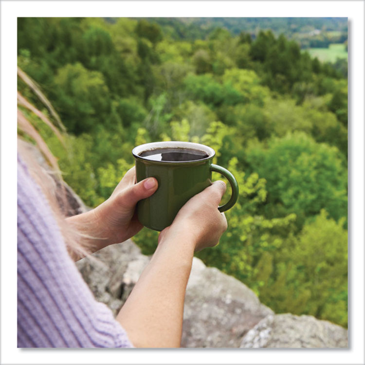 GREEN MOUNTAIN COFFEE ROASTERS Vermont Country Blend Coffee Fraction Packs, 2.2oz, 100/Carton (GMT4162)