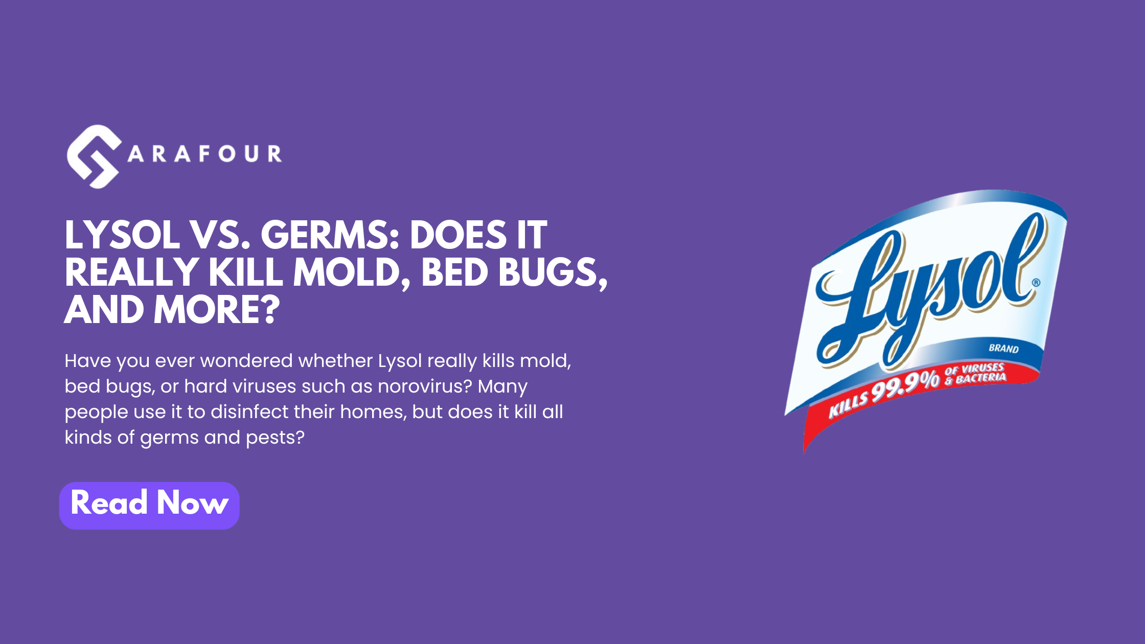 Lysol vs. Germs: Does It Really Kill Mold, Bed Bugs, and More?