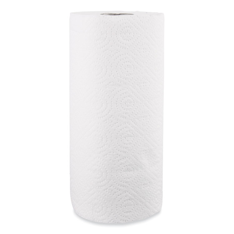 Windsoft Kitchen Roll Towels, 2-Ply, 11 x 8.8, White, 100/Roll (WIN1220RL)