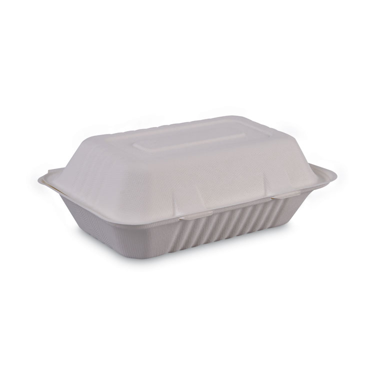Boardwalk Bagasse Food Containers, Hinged-Lid, 1-Compartment 9 x 6 x 3.19, White, Sugarcane, 125/Sleeve, 2 Sleeves/Carton (BWKHINGEWFHG1C9)