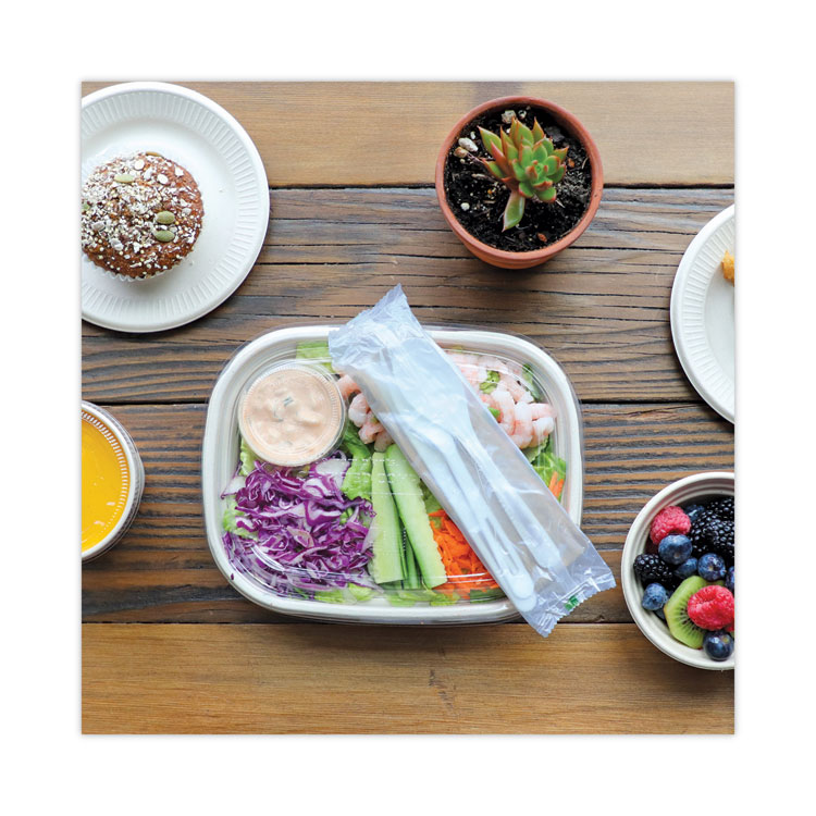 World Centric TPLA Compostable Cutlery, Knife/Fork/Spoon/Napkin, 6", White, 250/Carton (WORASPSTN)