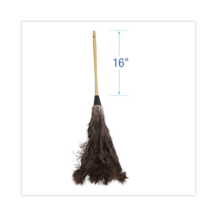 Boardwalk Professional Ostrich Feather Duster, 16" Handle (BWK28GY)