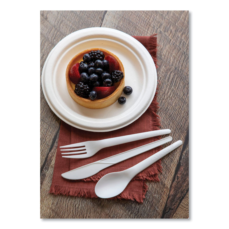 ECOEPP016NFA - Eco-Products Vanguard Renewable and Compostable Sugarcane Plates, 6" dia, White, 1,000/Carton (ECOEPP016NFA) - Image 10