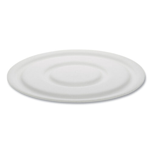 Pactiv Evergreen Cake Circle, 9" Diameter x 1"h, White, Foam, 125/Pack, 4 Packs/Carton (PCT60900000)
