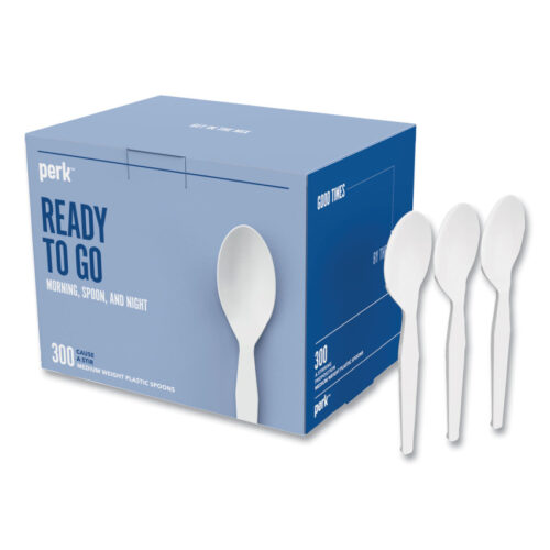 Perk Mediumweight Plastic Cutlery, Teaspoon, White, 300/Pack (PRK24391001)