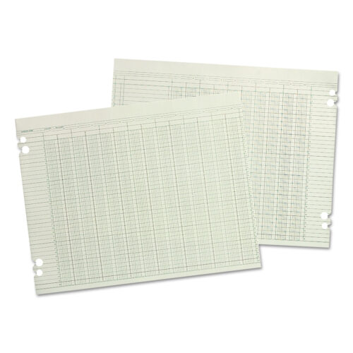 Wilson Jones Accounting Sheets, 10 Columns, 9.25 x 11.88, Green, Loose Sheet, 100Pack (WLJG1010)