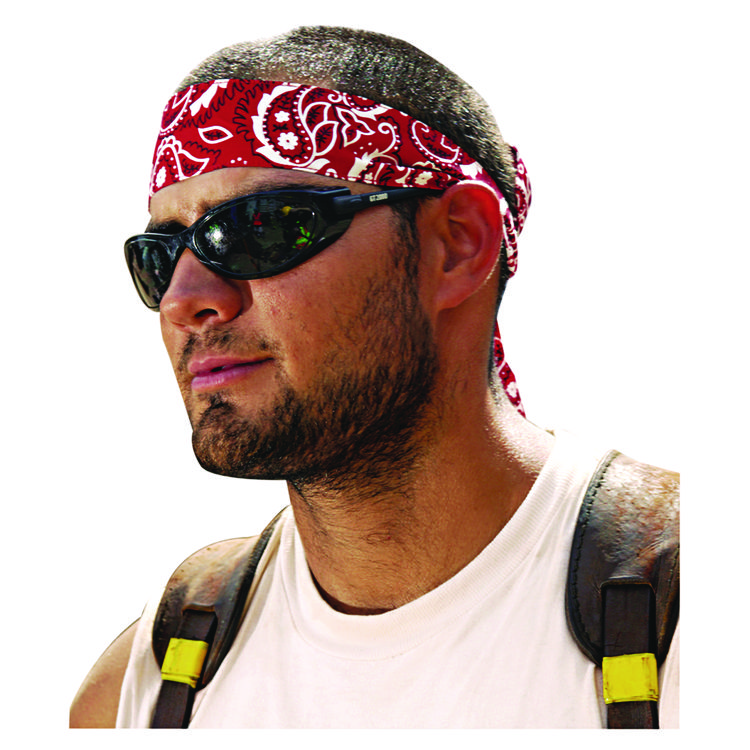 ergodyne Chill-Its 6700/6705 Bandana/Headband, One Size Fits All, Red Western (EGO12305)