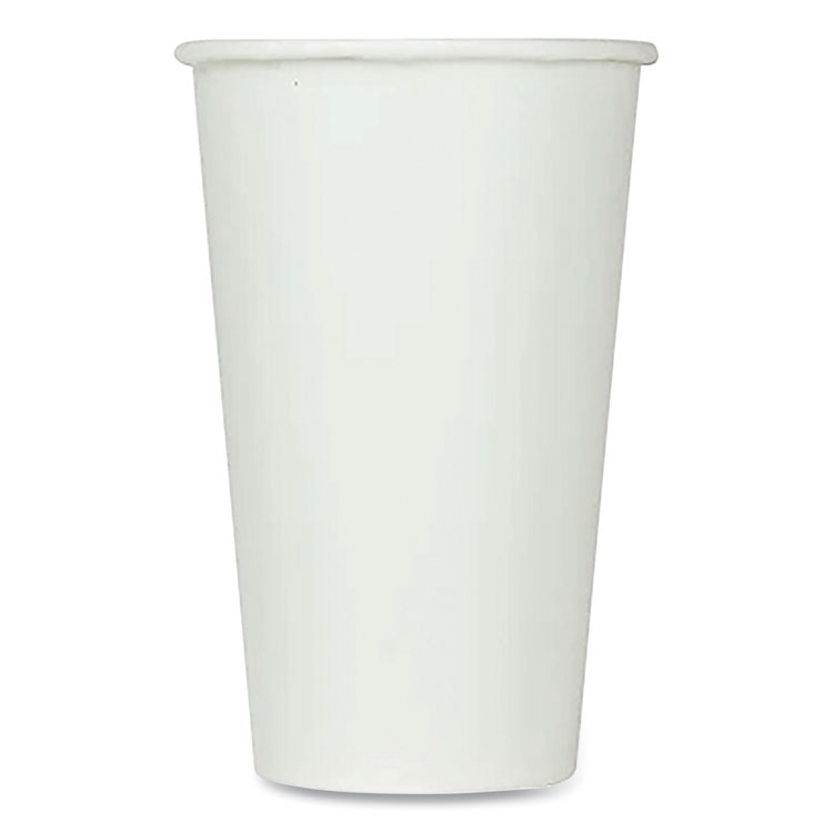 Karat Double Poly Paper Cold Cups, 16 oz, White, 1,000/Carton (KRTCKCP16W)