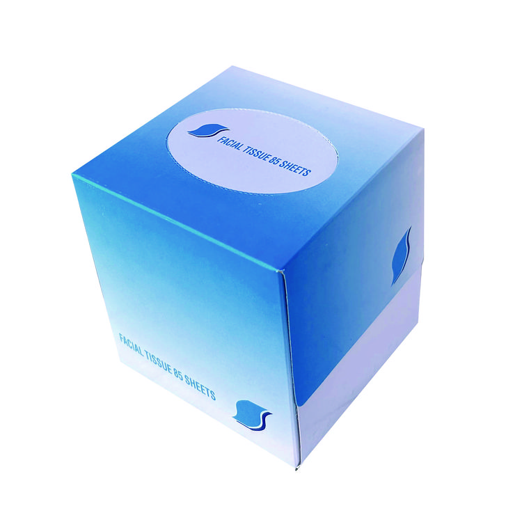 GEN Facial Tissue Cube Box, 2-Ply, White, 85 Sheets/Box, 36 Boxes/Carton (GEN852E)