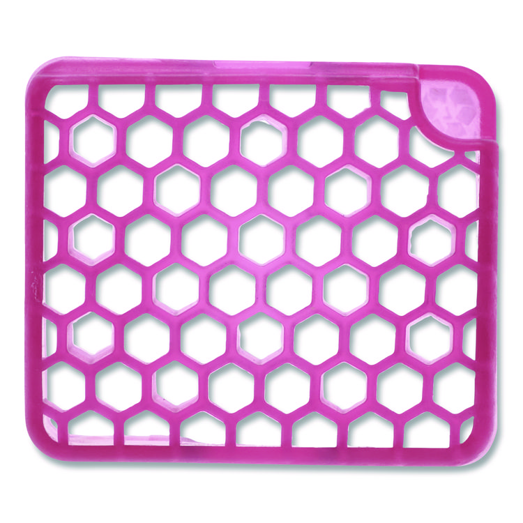 Fresh Products myfresh Refill, Spiced Apple, 6/Box (FRSMYF36SABX)