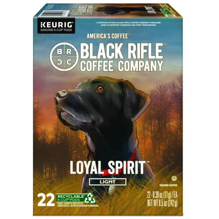 KEURIG DR PEPPER Loyal Spirit Coffee K-Cups, 22/Box (GMT0571)