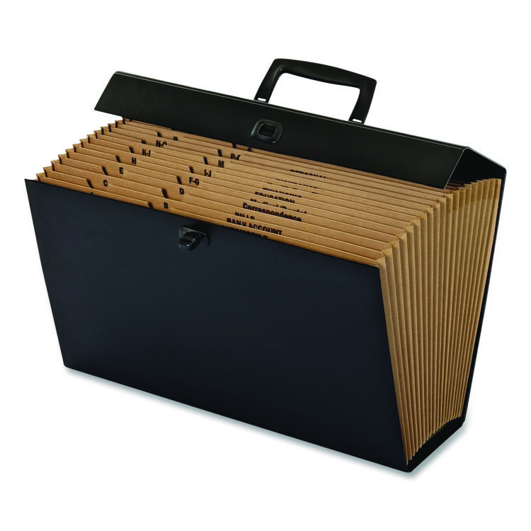 Pendaflex Case File, 5" Expansion, 19 Sections, Twist-Lock Closure, Custom-Cut Tabs, Legal Size, Randomly Assorted Colors (PFX11170)