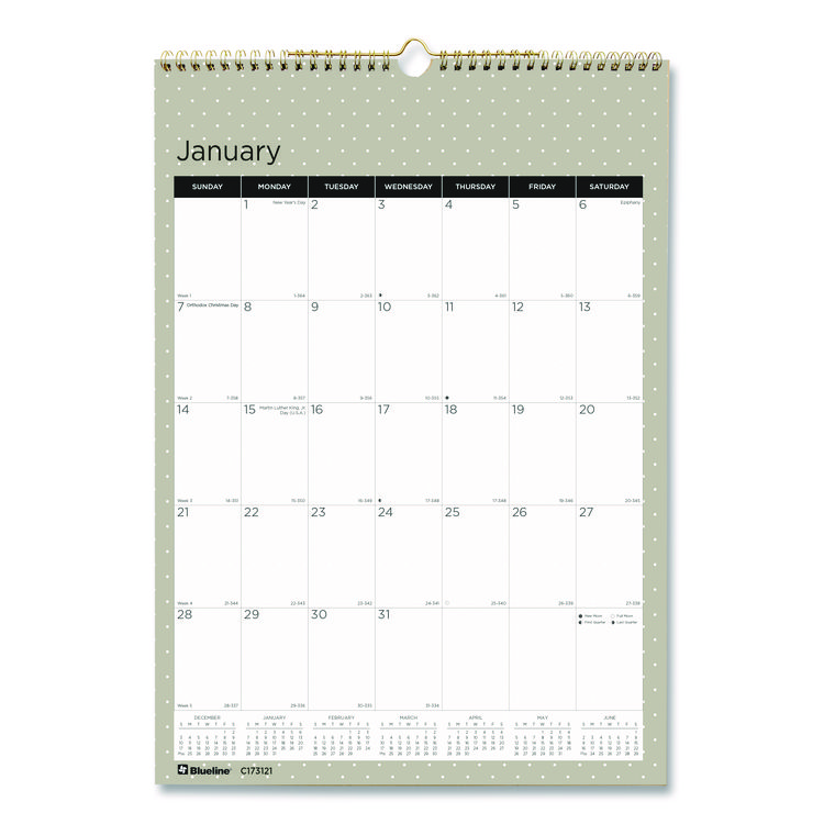 Blueline 12-Month Wall Calendar, Minimalistic Artwork, 12 x 17, White/Multicolor Sheets, 12-Month (Jan to Dec): 2026 (REDC173121)