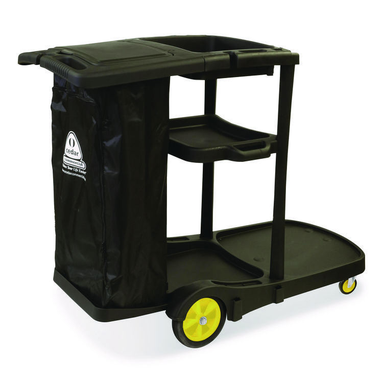NEXSTEP COMMERCIAL PRODUCTS Premier Janitor Cart, 2 Shelves, Plastic, 18.25 x 44.5 x 38, Black (NCP96980)