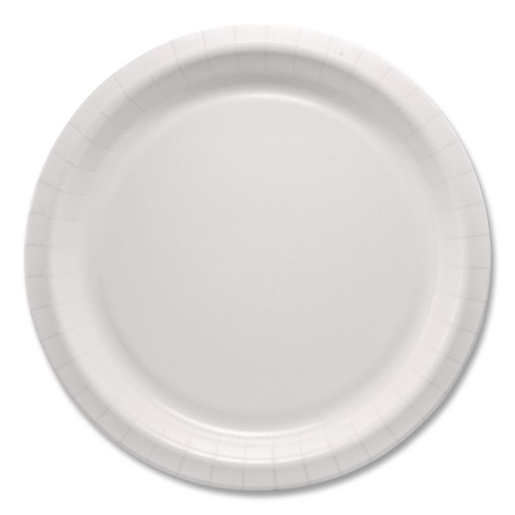 SOLO Compostable Paper Dinnerware, ProPlanet Seal, Plate, 10" dia, White, 500/Carton (SCCHP10W)