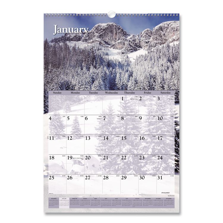 AT-A-GLANCE Scenic Monthly Wall Calendar, Landscape Photography, 15.5 x 22.75, White/Multicolor Sheets, 12-Month (Jan-Dec): 2026 (AAGDMW20128)