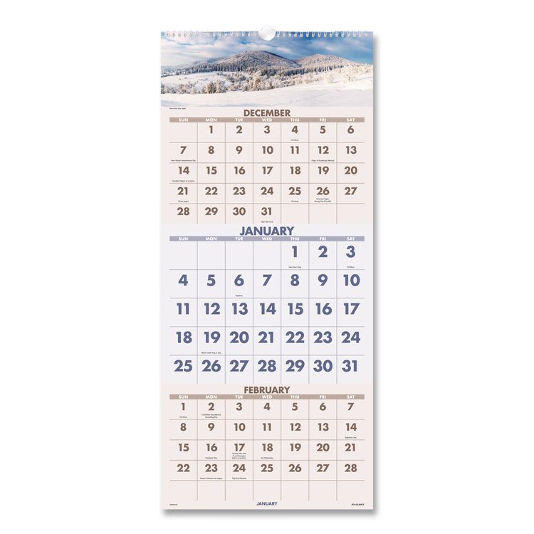 AT-A-GLANCE Scenic Three-Month Wall Calendar, Landscape Photography, 12 x 27, White Sheets, 14-Month: Dec 2025 to Jan 2027 (AAGDMW50328)