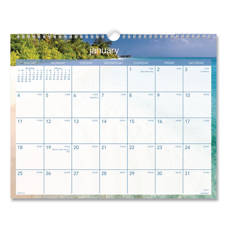 AT-A-GLANCE Tropical Escape Wall Calendar, Tropical Escape Photography, 15 x 12, Pale Blue/Multicolor Sheets, 12-Month (Jan to Dec): 2026 (AAGDMWTE828)