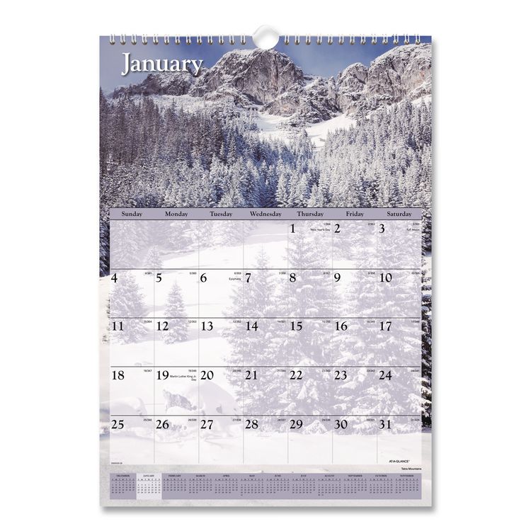 AT-A-GLANCE Scenic Monthly Wall Calendar, Landscape Photography, 12 x 17, White/Multicolor Sheets, 12-Month (Jan to Dec): 2026 (AAGDMW20028)
