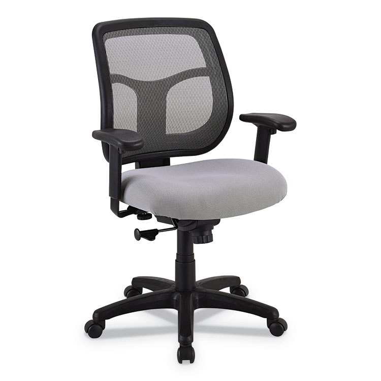 Eurotech Apollo Mid-Back Mesh Chair, 18.1" to 21.7" Seat Height, Silver Seat, Silver Back, Black Base (EUTMT9400SR)
