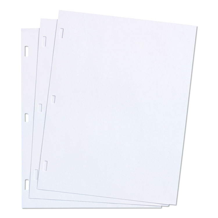 Wilson Jones Ledger Sheets for Corporation and Minute Book, 11 x 8.5, White, Loose Sheet, 100/Box (WLJ90310)