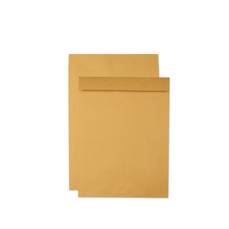 Quality Park Jumbo Size Kraft Envelope, Cheese Blade Flap, Fold-Over Closure, 17 x 22, Brown Kraft, 25/Pack (QUA42356)