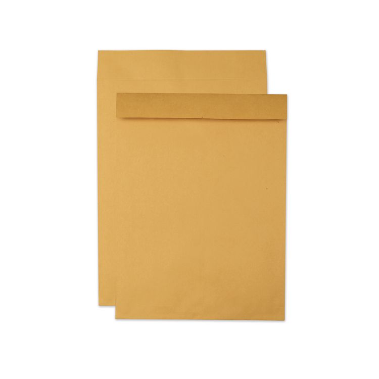 Quality Park Jumbo Size Kraft Envelope, Cheese Blade Flap, Fold-Over Closure, 15 x 20, Brown Kraft, 25/Pack (QUA42355)