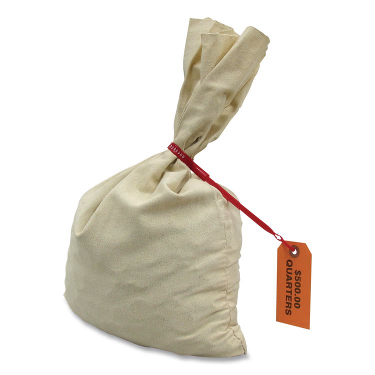 CONTROLTEK Canvas Coin Transit Bag, 12 x 19, Beige (CNK530000)