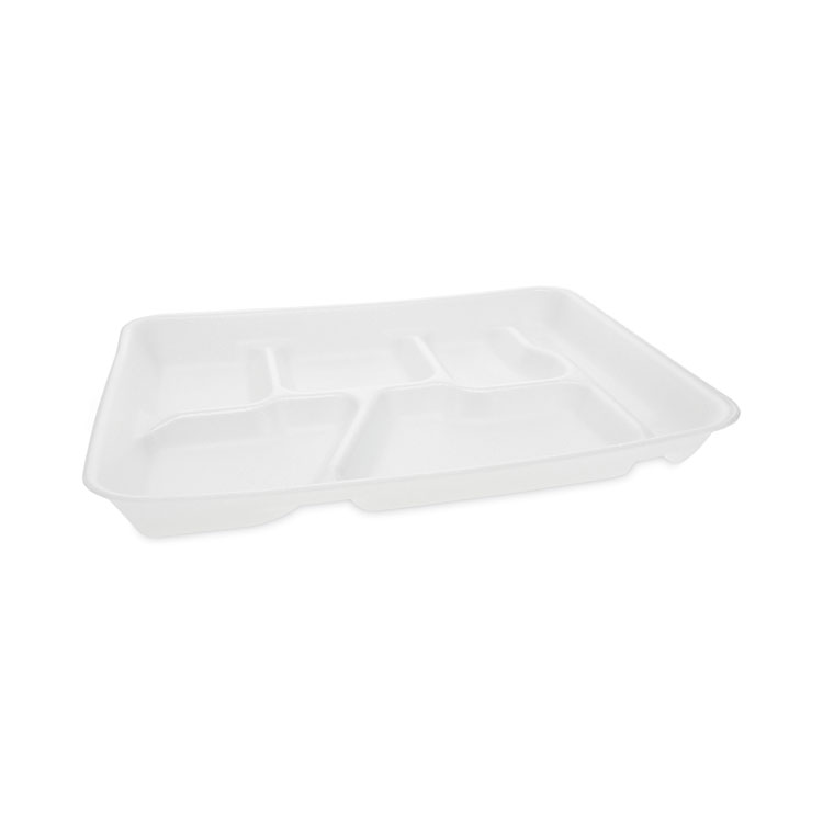 Pactiv Evergreen Foam School Trays, 6-Compartment Tray, 8.5 x 11.5 x 1.25, White, 500/Carton (PCT0TH10601SGBX)
